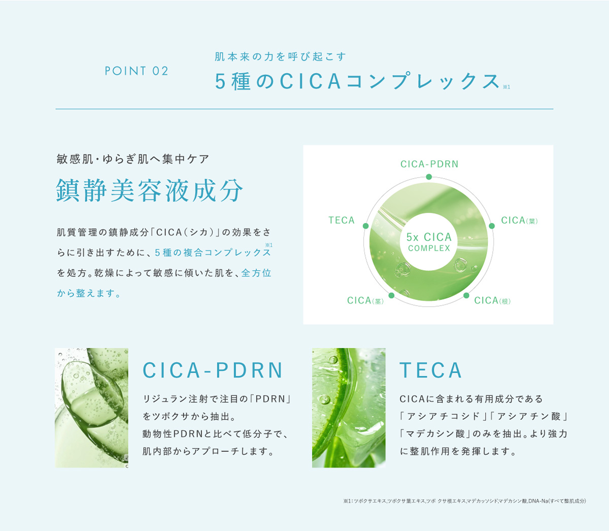 5種のCICAコンプレックス
