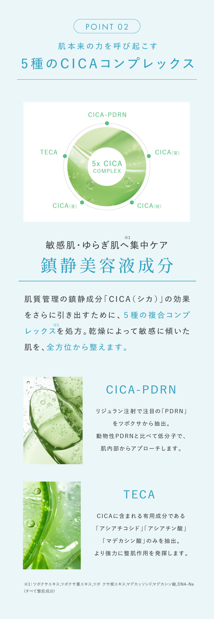 5種のCICAコンプレックス